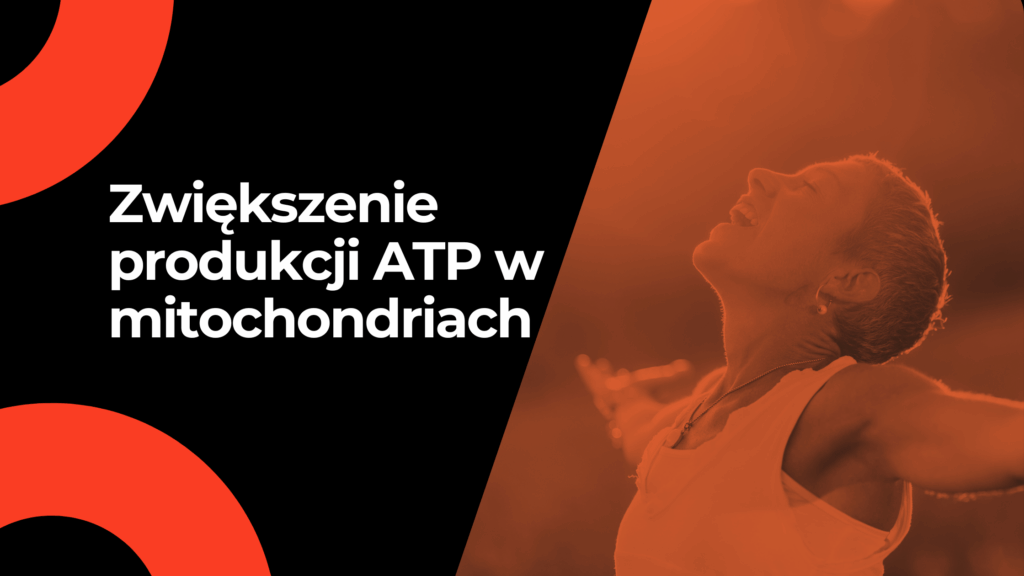 Zwiększenie produkcji ATP w mitochondriach