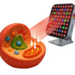 Jak-dziala-lampa-do-terapii-czerwonym-swiatlem-